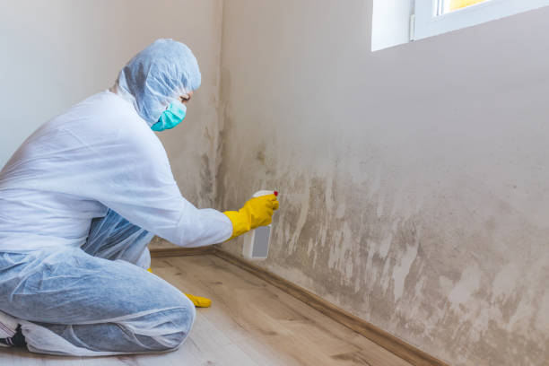Mold Remediation specialist working in Red Bank